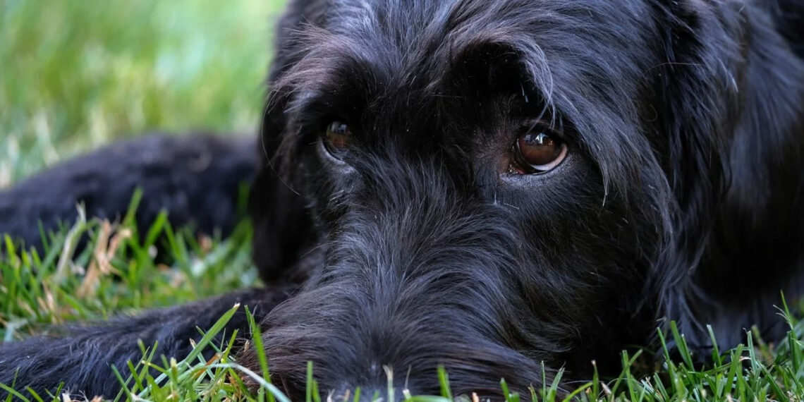 Welcome to 101 – the Beginning