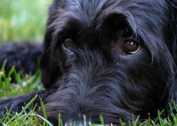 Welcome to 101 – the Beginning